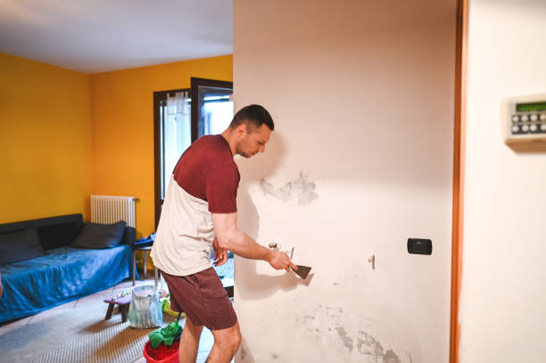 Best Mold Damage Repair  in Gladwin, MI